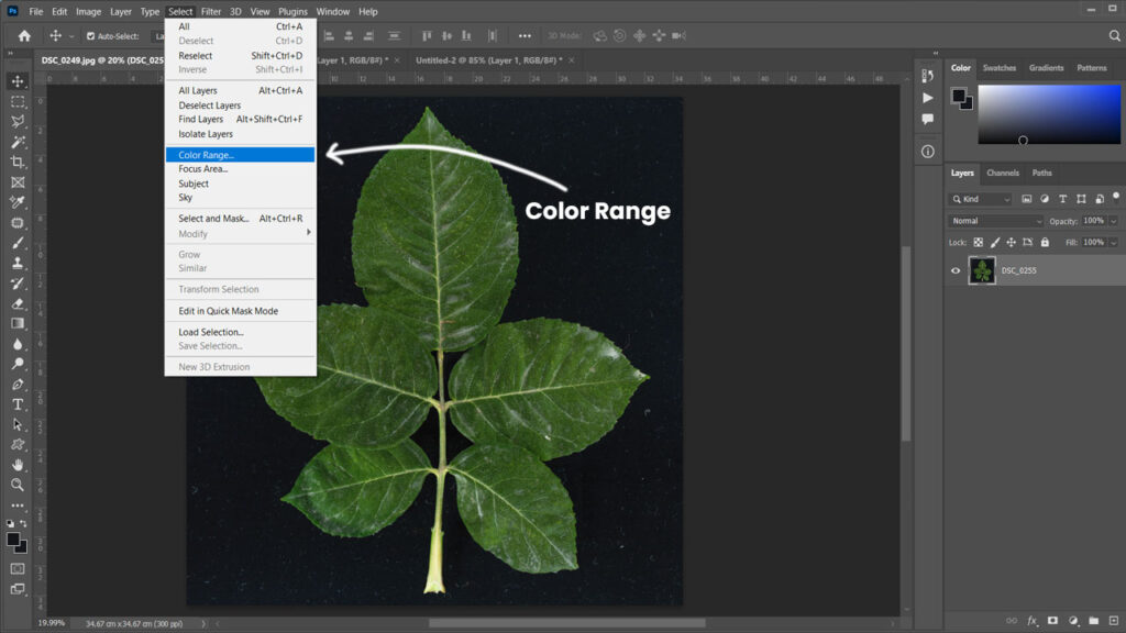 select color range in photoshop