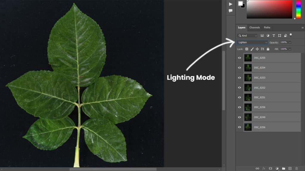 lightening mode merge in photoshop