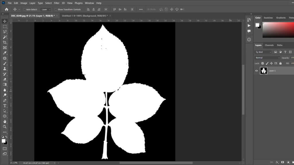 opacity map of flower leaf