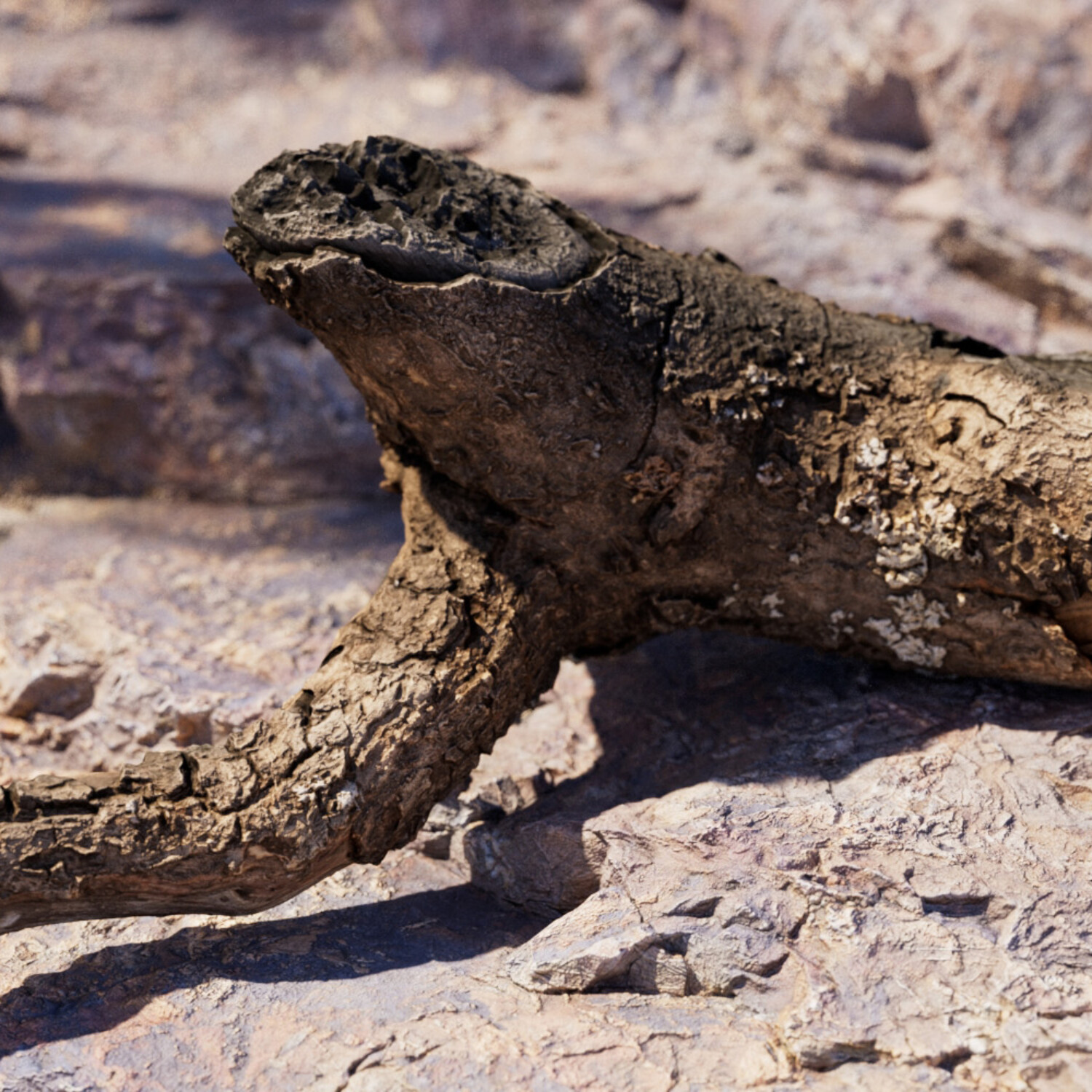 3D Branches Low Poly Photorealistic Asset