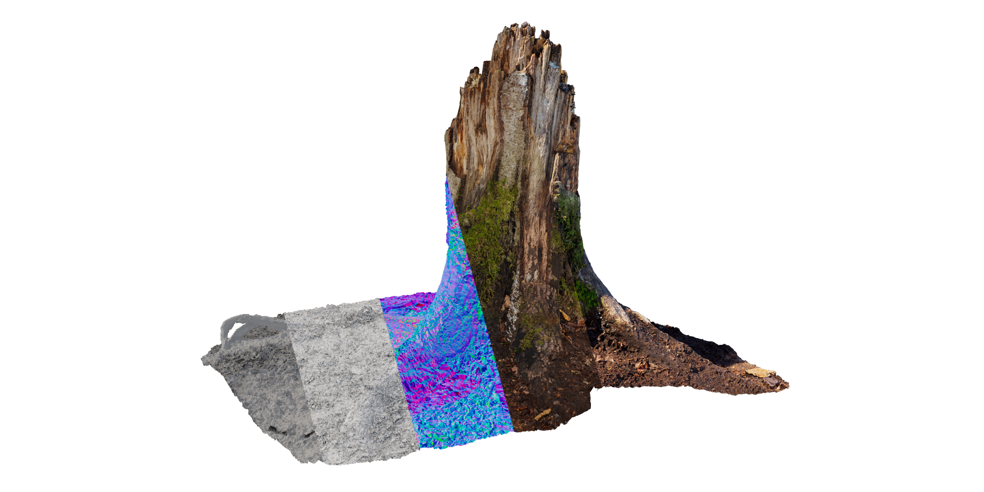 Game Ready 3D Trimmed Trunk