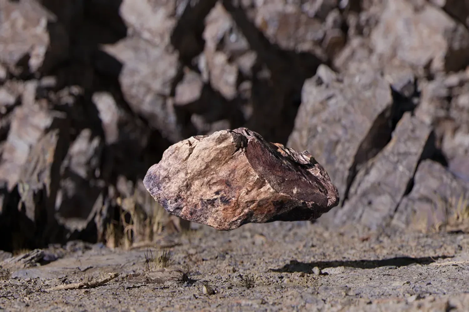 master course of 3d scanning and photogrammetry